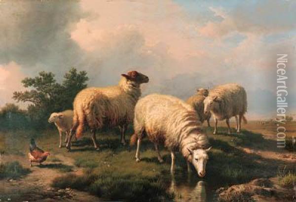 Sheep And A Chicken In A Landscape Oil Painting - Eugene Joseph Verboeckhoven