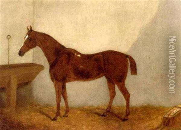 A Chestnut Horse In A Stable (+ A Black Horse In A Stable; Pair) Oil Painting - F. Clifton