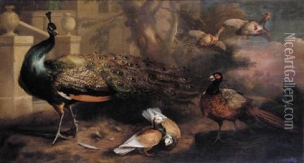 An Assembly Of Fowl, Including A Peacock, Pigeons, Pheasant And Partridges Oil Painting - Marmaduke Cradock