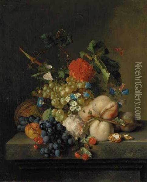 Grapes On The Vine, Peaches, A 
Melon, Redcurrants, A Split Walnut, With Morning Glory, Other Flowers 
And A Butterfly On A Marble Plinth Oil Painting - Jan Van Huysum
