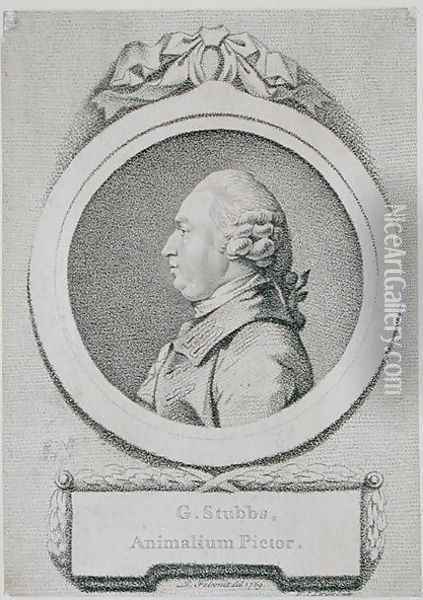 Portrait study of George Stubbs 1724-1806 Oil Painting - George Stubbs