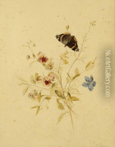 Flowering Branches With A Butterfly Oil Painting - Hendrik Reekers
