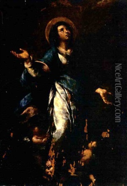 Assunzione Della Vergine Oil Painting - Carlo Francesco Nuvolone