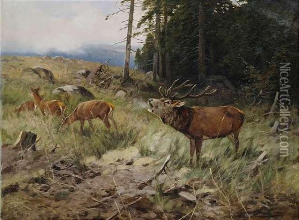 Belling Stag With Does At The Border Of A Wood Oil Painting - Christoffer Drathmann