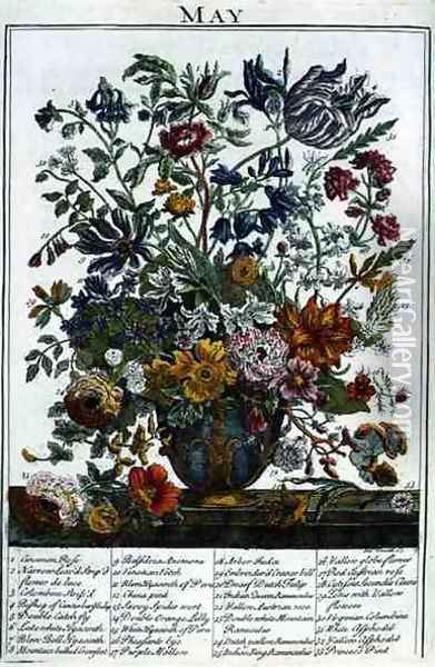 May, from 'The Flower Garden Displayed' Oil Painting - Pieter Casteels