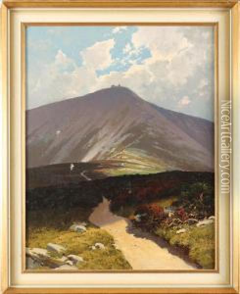 Widok Na Sniezke Oil Painting - Rudolf Hellgrewe