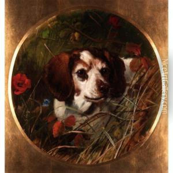 Study Of A Spaniel Oil Painting - George Earl