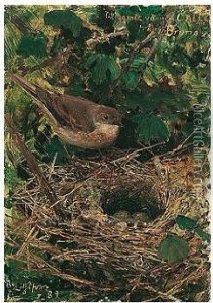 Lovsangare I Boet (willow Warbler In Her Nest) Oil Painting - Bruno Andreas Liljefors