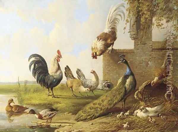 Poultry and a peacock by a ruin 2 Oil Painting - Albertus Verhoesen