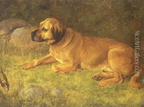 Liggende Hund Oil Painting - Andreas Peter Madsen