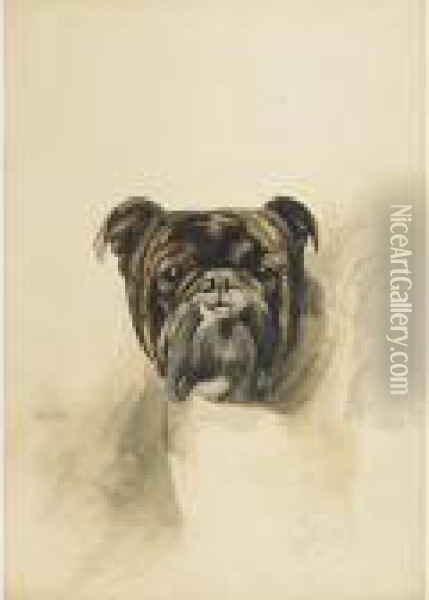 A Favorite Bull Dog Oil Painting - Binks, R. Ward