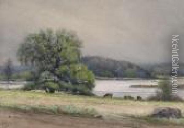 Cattle Grazing By A River Oil Painting - Joseph Thomas Rolph