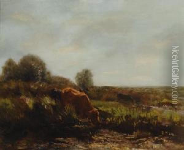 Cows In The Summer Sun Oil Painting - Willem Maris
