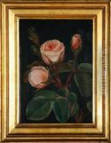 Pink Roses Oil Painting - I.L. Jensen