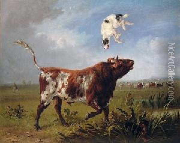 A Bull Tossing A Terrier While A Fisherman Makes Good His Escape Oil Painting - Edmund Bristow