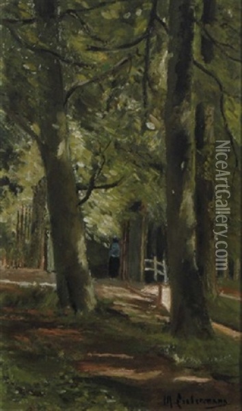 Forest Oil Painting - Max Liebermann