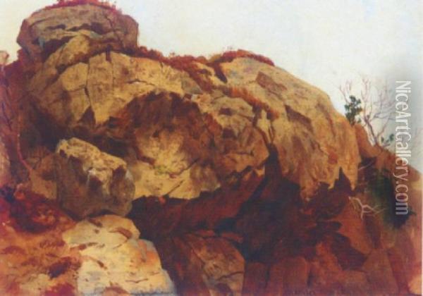 Rocky Outcrop Oil Painting - Archibald Thorburn