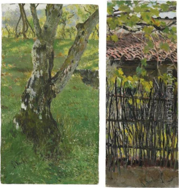 Il Tronco D'albero; La Casa Tra Gli Alberi Oil Painting - Raffaelo Sorbi