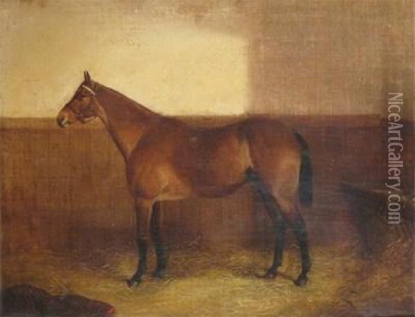 A Chestnut Hunter In A Stable Oil Painting - John Frederick Herring Snr