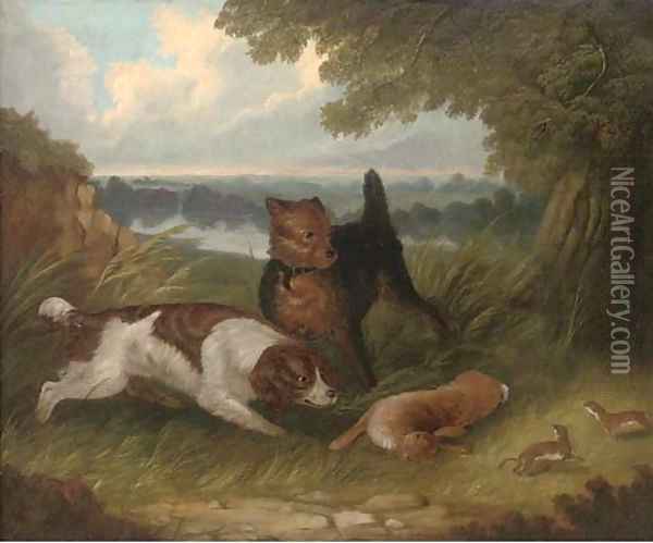 A terrier and spaniel with a hare Oil Painting - George Armfield