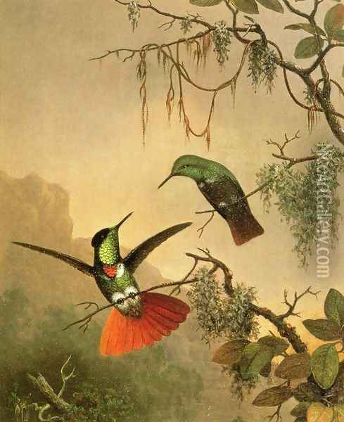 Two Hooded Visorbearer Hummingbirds Oil Painting - Martin Johnson Heade