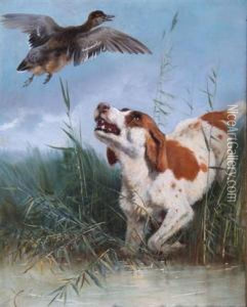 A Brittany Spaniel And Gadwall Oil Painting - Charles Verlat