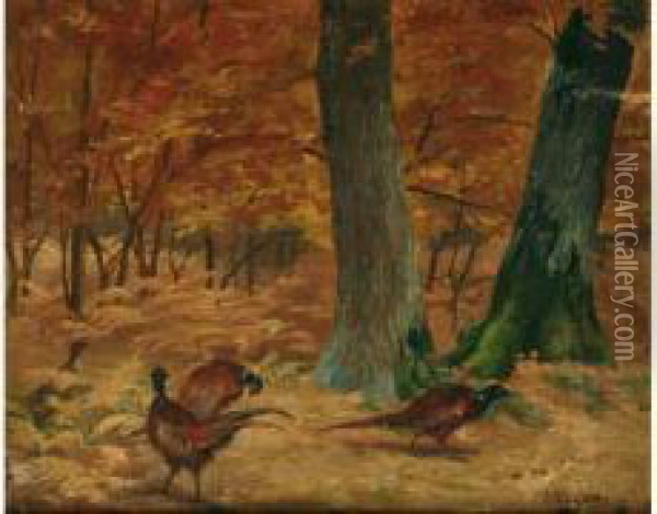 Faisan Dans Un Sous-bois Oil Painting - Adolphe Thomasse