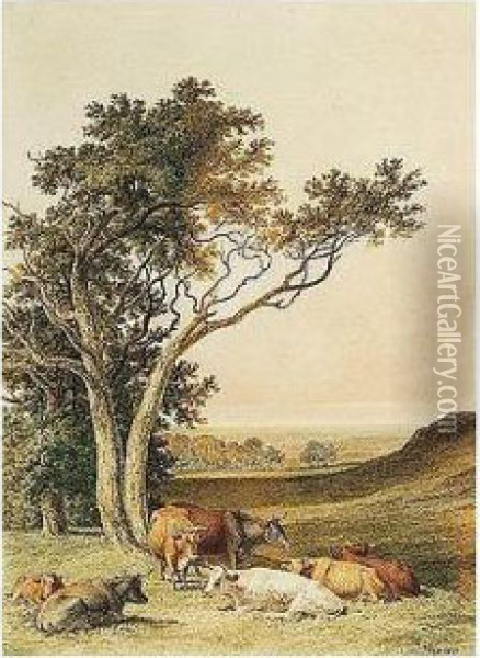 Cattle Resting Oil Painting - Robert Hills