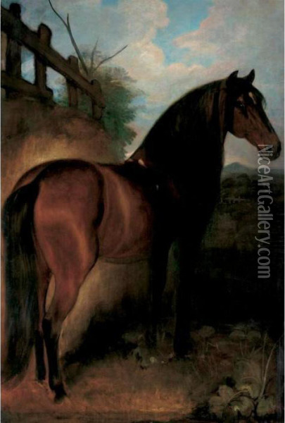 A Bay Stallion In A Landscape Oil Painting - William Huggins