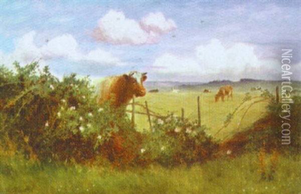 Cattle Grazing Oil Painting - William Sidney Cooper