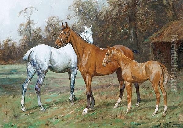 Horses In A Field Oil Painting - George Wright