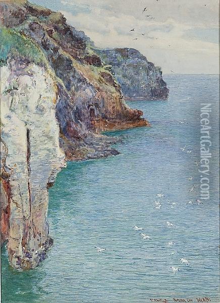 Bossiney Cove, Near Tintagel, Cornwall Oil Painting - John White