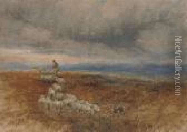 A Shepherd With His Flock Oil Painting - David I Cox