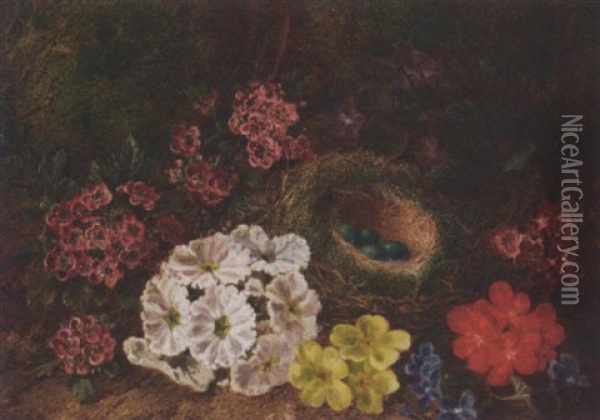 Spring Flowers And A Birds Nest On A Mossy Bank Oil Painting - George Clare