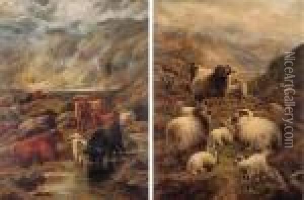 Highland Cattle Watering; And Sheep By A Loch Oil Painting - Robert Watson