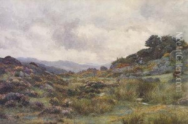 Moorland Landscape With Stream And Sheep Grazing Among The Heather Oil Painting - George, Captain Drummond-Fish