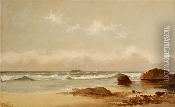 Steamship In The Distance Oil Painting - Alexander Charles Stuart
