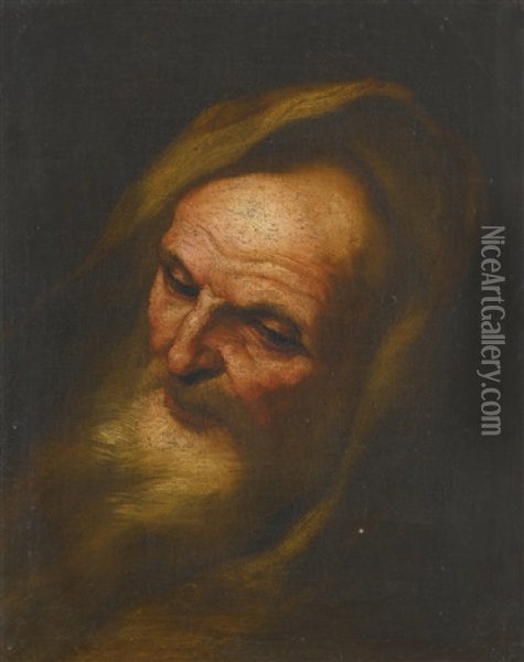 Head Study Of A Philosopher Oil Painting - Giacomo Farelli