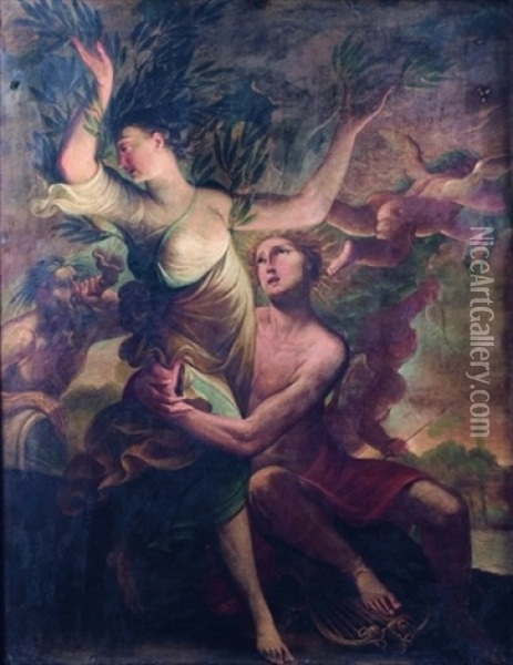 Apollon Et Daphnee Oil Painting - Pietro Ricchi