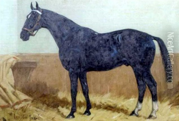 Indian Ink, A Dark Bay Hunter In A Stable Oil Painting - George Paice