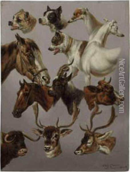 Animal Studies Oil Painting - Charles Towne