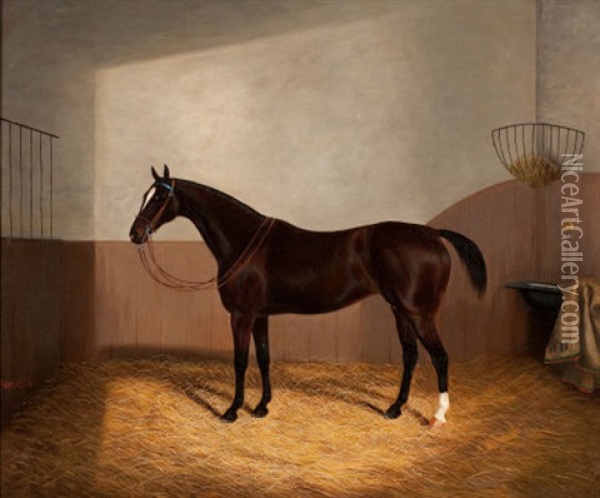 Race Horse Oil Painting - Albert Clark