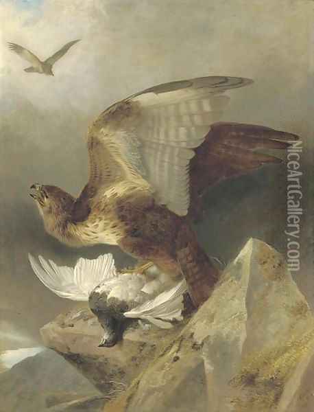 A buzzard with a ptarmigan in a highland landscape Oil Painting - Richard Ansdell