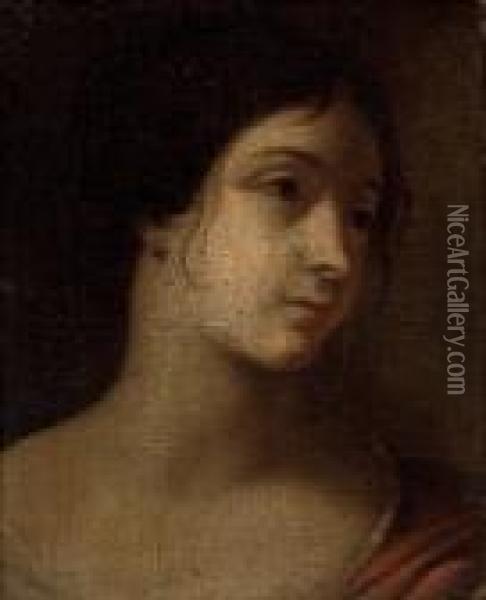 Head Of A Woman Oil Painting - Carlo Cignani