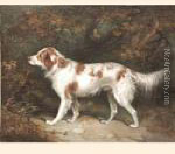 Setter In A Landscape; Terrier In An Interior Oil Painting - George Armfield