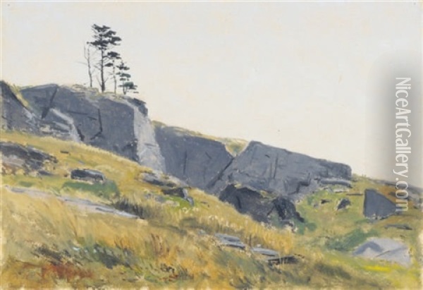 Rocks On A Hillside Oil Painting - Lockwood de Forest