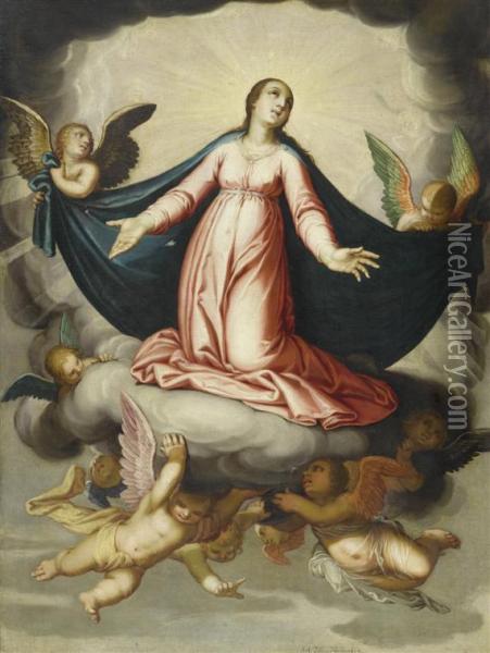 The Assumption Of Mary Oil Painting - Schelte Adams Bolswert