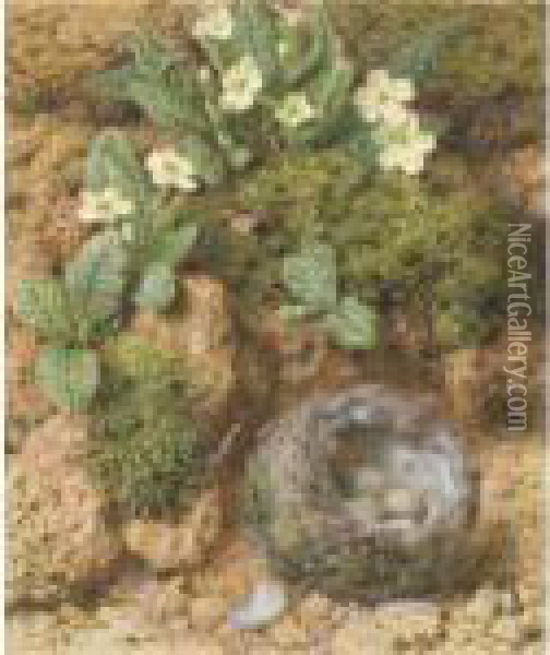 A Chaffinch's Nest With Primroses Oil Painting - William Henry Hunt