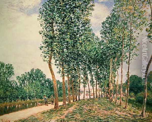 Banks of the Loing, near Moret Oil Painting - Alfred Sisley