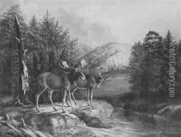 Moose At River's Edge Oil Painting - Titian Ramsay Peale